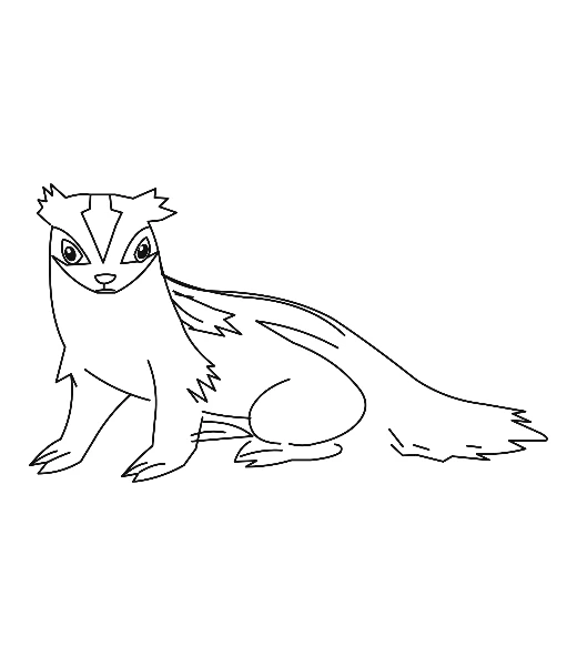 Watch Linoone being colored