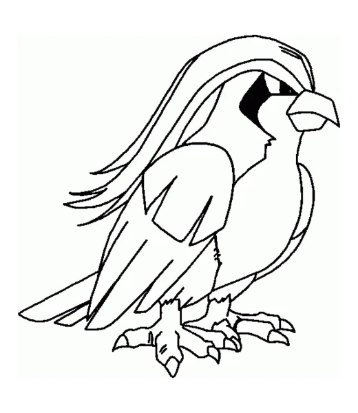 Watch Pidgeot being colored