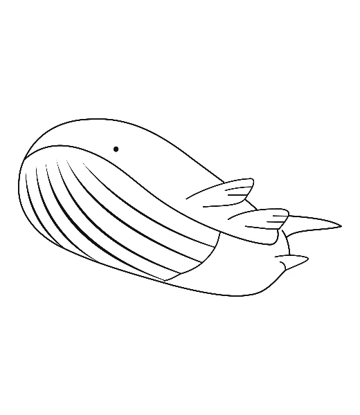 Mise en couleurs de Wailord