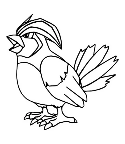Cómo colorear a Pidgeotto