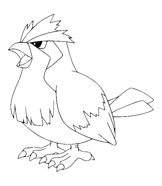 Watch Pidgey being colored