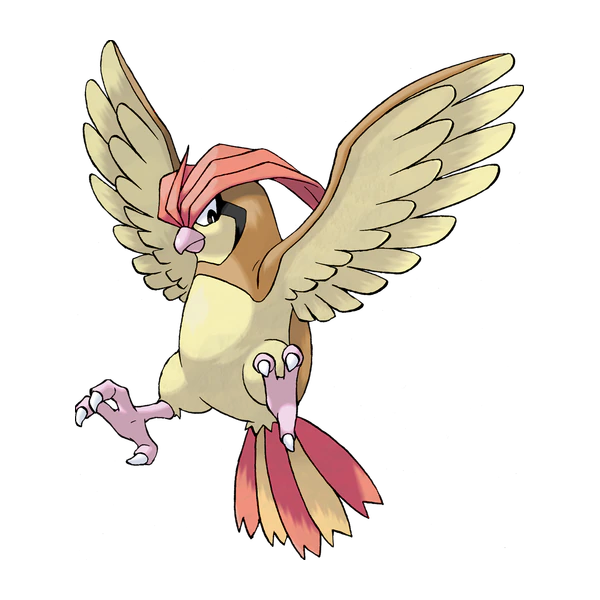 Pidgeotto coloring page