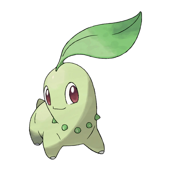 Chikorita