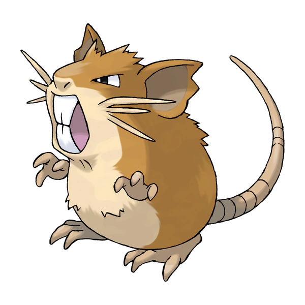 Raticate