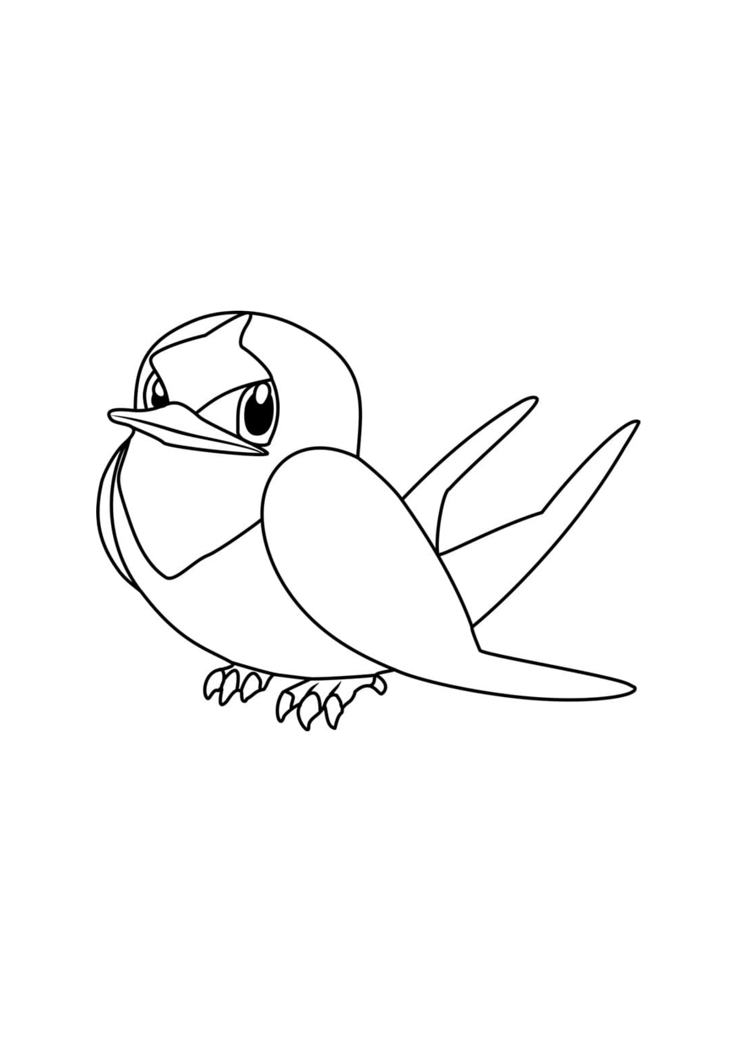 Taillow coloring page (A4) to print