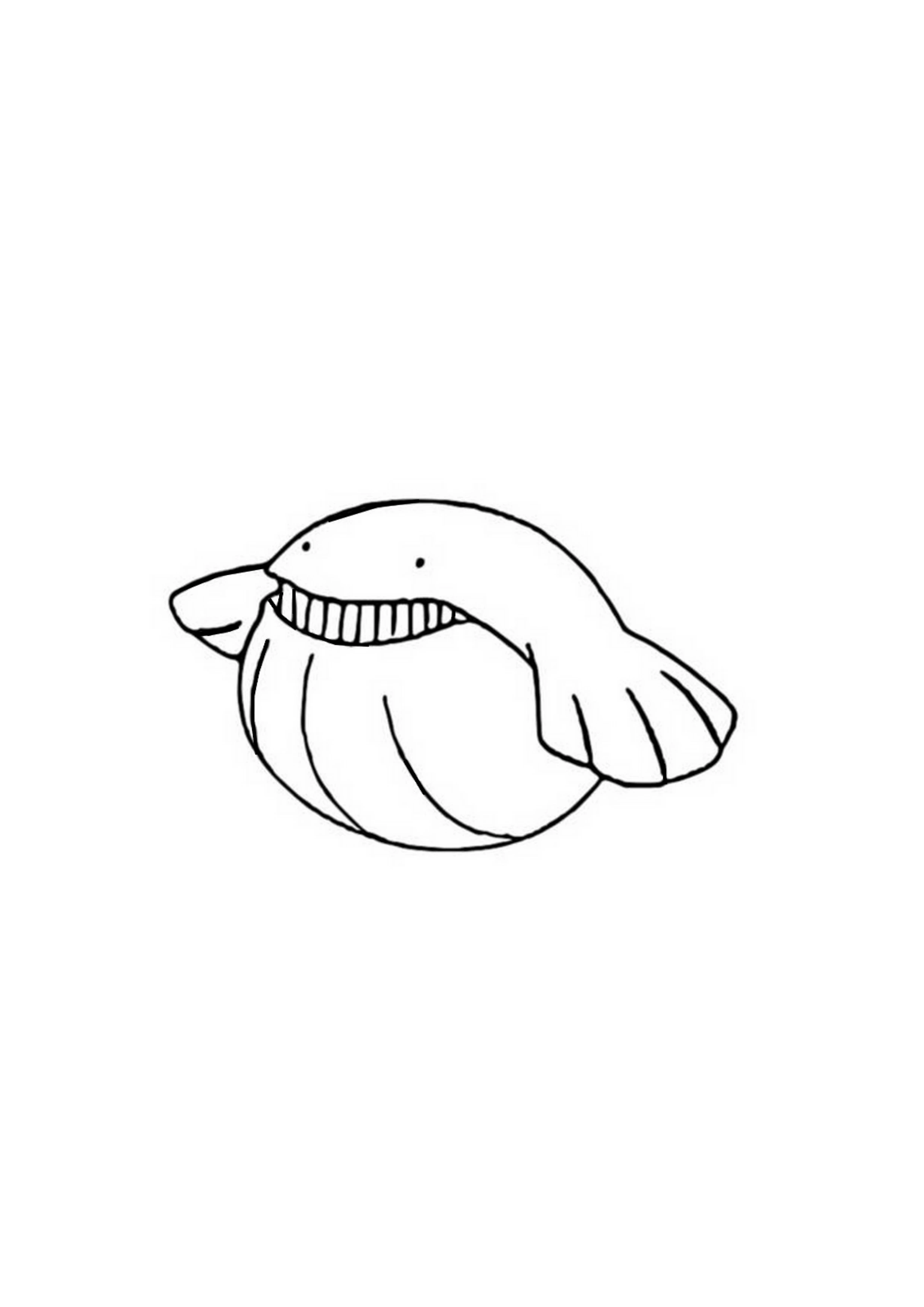 Coloriage Wailmer (A4) à imprimer