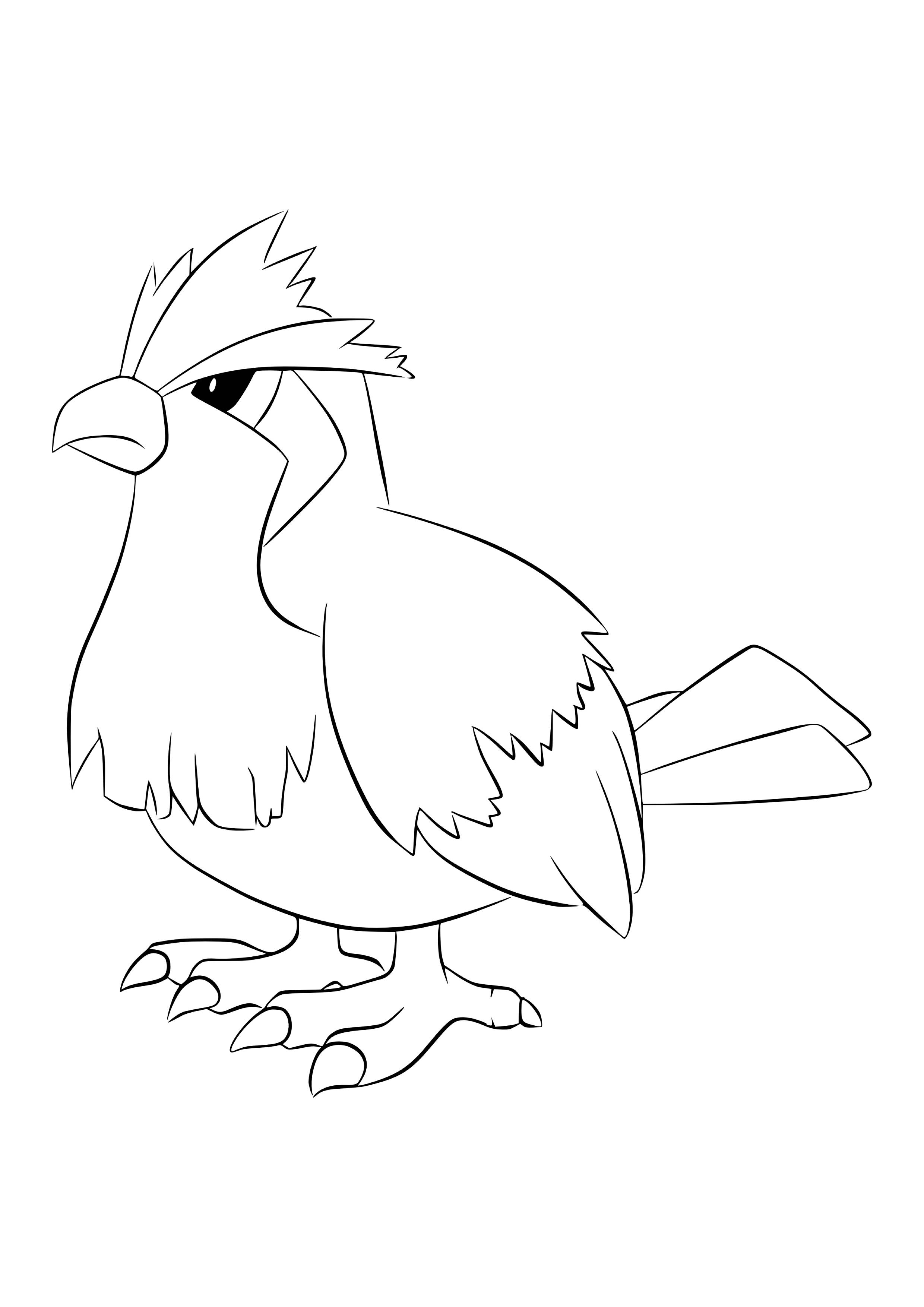 Pidgey coloring page (A4) to print