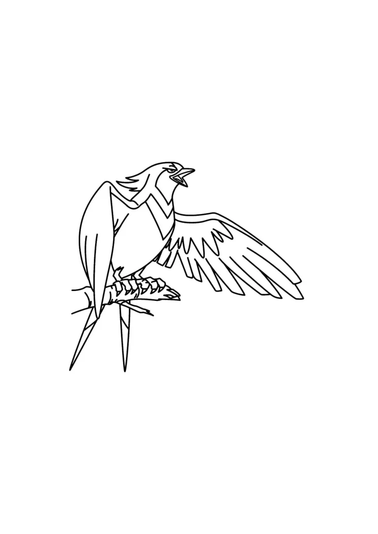 Swellow coloring page (A4) to print